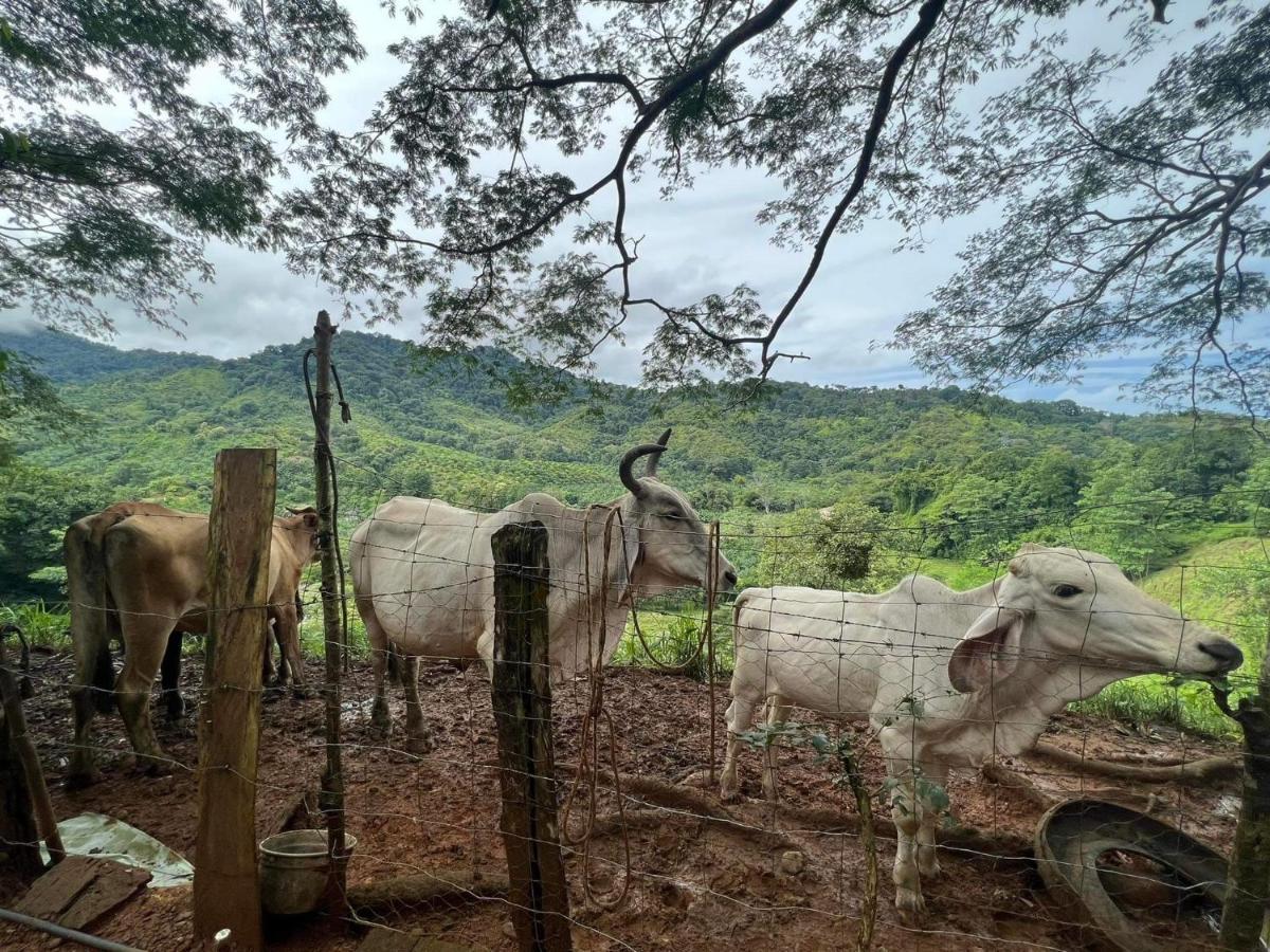 Cabana Tolle Vista Savegre Buitenkant foto
