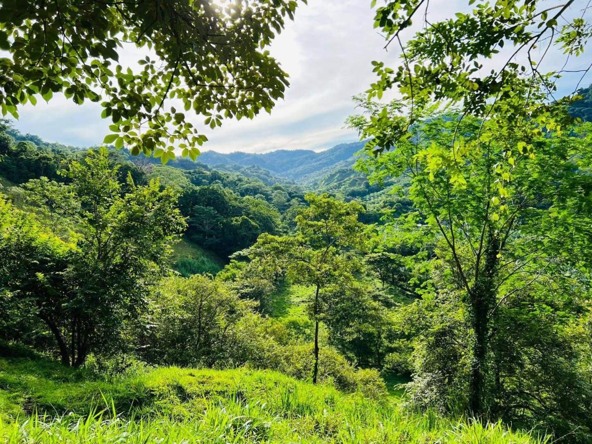 Cabana Tolle Vista Savegre Buitenkant foto